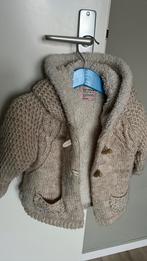 Leuk warm vest Zara maat 92/98, Kinderen en Baby's, Kinderkleding | Maat 92, Gebruikt, Ophalen of Verzenden