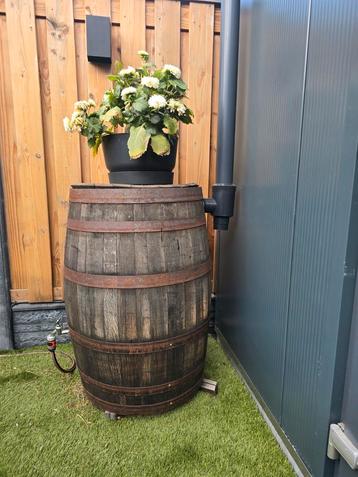 Eikenhouten regenton whisky vat / regenton  beschikbaar voor biedingen