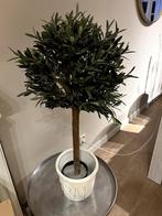 Nieuw Olijfboom kunstplant in grotere Riviera Maison pot, Ophalen, Zo goed als nieuw