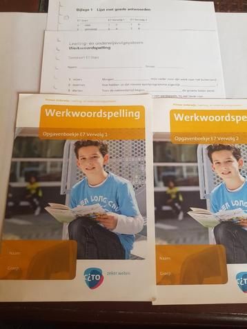 Groep 7 citotoets cito werkwoordspelling E7 + antwoorden  beschikbaar voor biedingen