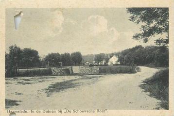 (304-016-001) Haamstede In de Duinen bij De Schouwsche Boer beschikbaar voor biedingen