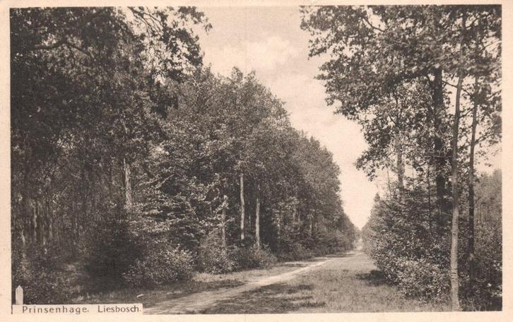 Breda, Liesbosch, Prinsenhage  129456, Verzamelen, Ansichtkaarten | Nederland, Ongelopen, Noord-Brabant, Verzenden