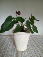 Mooie Bewerkte Terracotta Bloempot ZGAN !!!, Rond, Binnen, Ophalen of Verzenden, Zo goed als nieuw