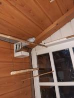 Diamantduiven, Dieren en Toebehoren, Meerdere dieren, Overige soorten