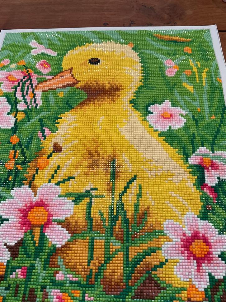 Diamond Painting Te Koop - Diverse afbeeldingen, Hobby en Vrije tijd, Knutselen, Nieuw, Knutselwerk, Ophalen of Verzenden