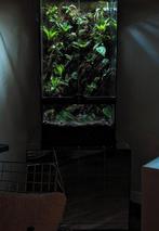 Groot terrarium van exo terra., Dieren en Toebehoren, Reptielen en Amfibieën | Toebehoren, Ophalen, Zo goed als nieuw