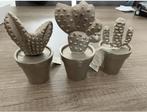 Riviera maison cactussen, Huis en Inrichting, Woonaccessoires | Overige, Ophalen of Verzenden, Nieuw