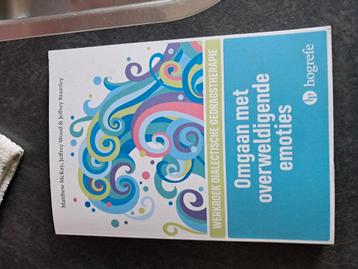 Boek omgaan met overweldigende emoties  beschikbaar voor biedingen
