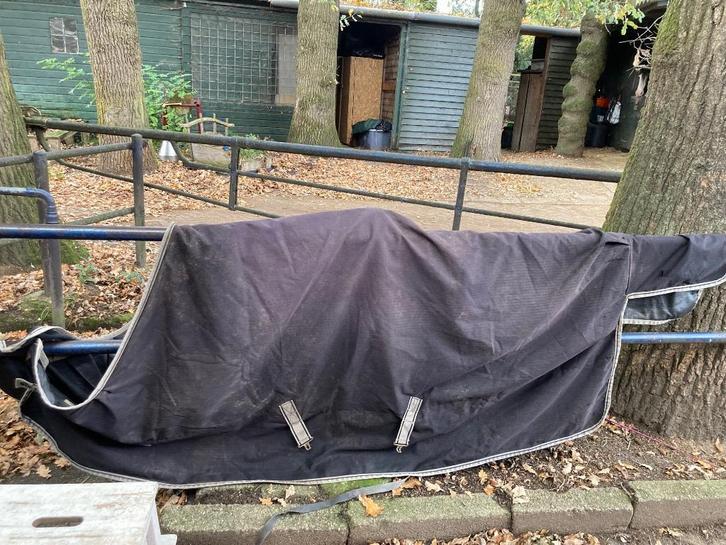 Bucas regendeken 150 gram maat 165/213, Dieren en Toebehoren, Paarden en Pony's | Dekens en Dekjes, Gebruikt, Deken, Ophalen of Verzenden