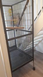 Te koop mooie vogelkooi, Ophalen, Zo goed als nieuw, Metaal, Vogelkooi