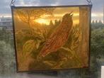 De zingende spreeuw vintage glas-in-lood raamhanger, Antiek en Kunst, Ophalen