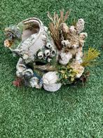 Aquarium ornamenten 1, Ophalen of Verzenden, Zo goed als nieuw, Sierelement