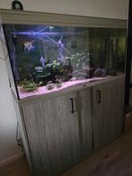 Aquatlantis 120 40  60 (incl kast hoogte 143), Ophalen, Gebruikt, Gevuld zoetwateraquarium