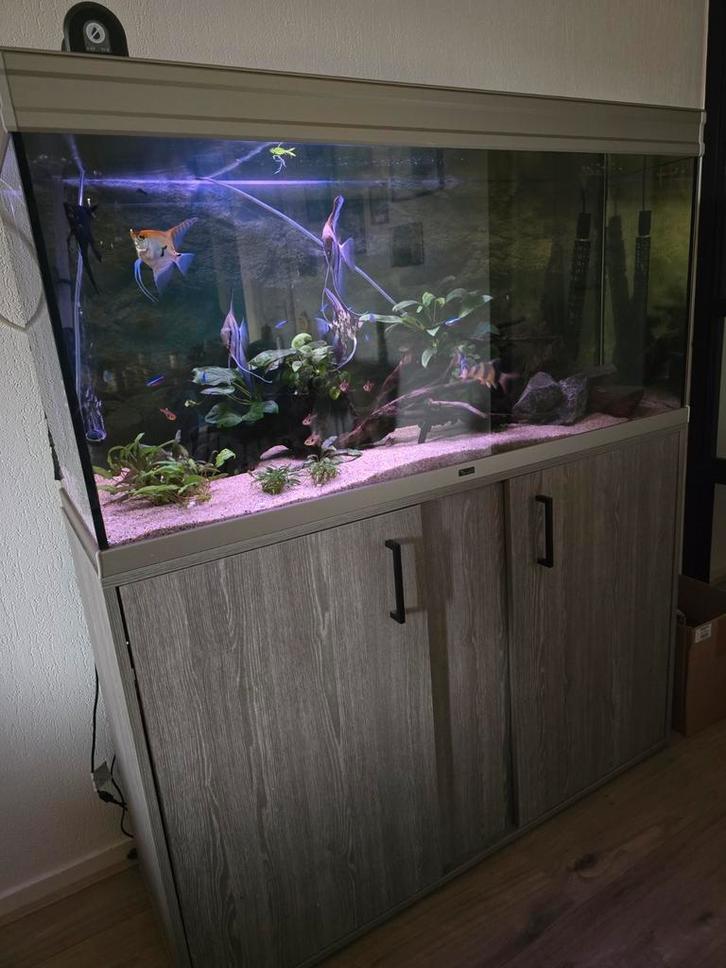 Aquatlantis 120 40  60 (incl kast hoogte 143), Dieren en Toebehoren, Vissen | Aquaria en Toebehoren, Gebruikt, Gevuld zoetwateraquarium