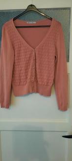 Vestje van froy & dind maat s roze, Ophalen of Verzenden, Zo goed als nieuw, Roze