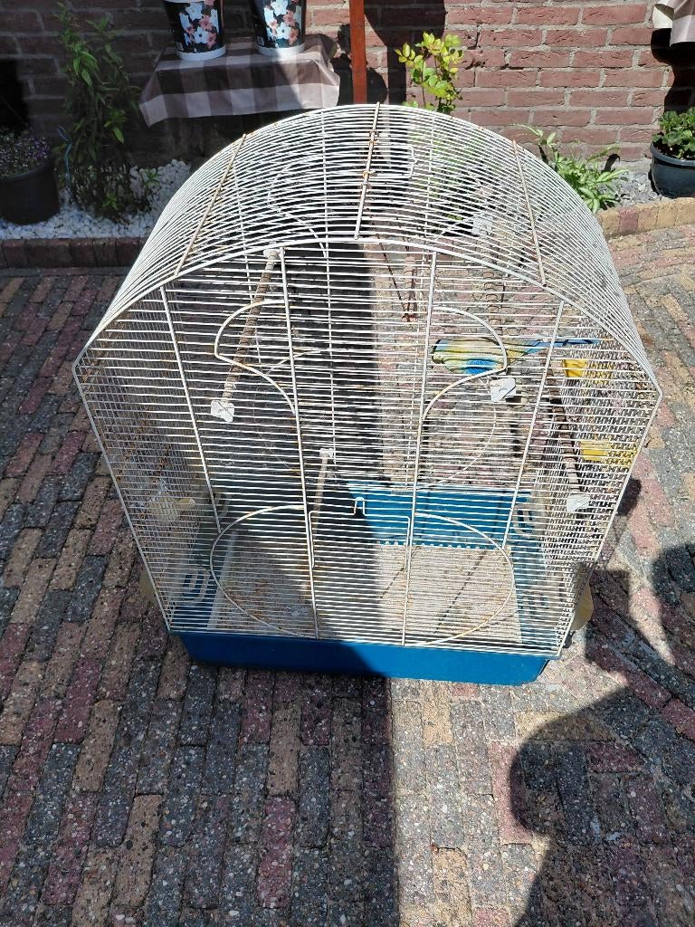 Vogelskooi, Dieren en Toebehoren, Vogels | Hokken en Kooien, Ophalen, Gebruikt, Aluminium, Vogelkooi