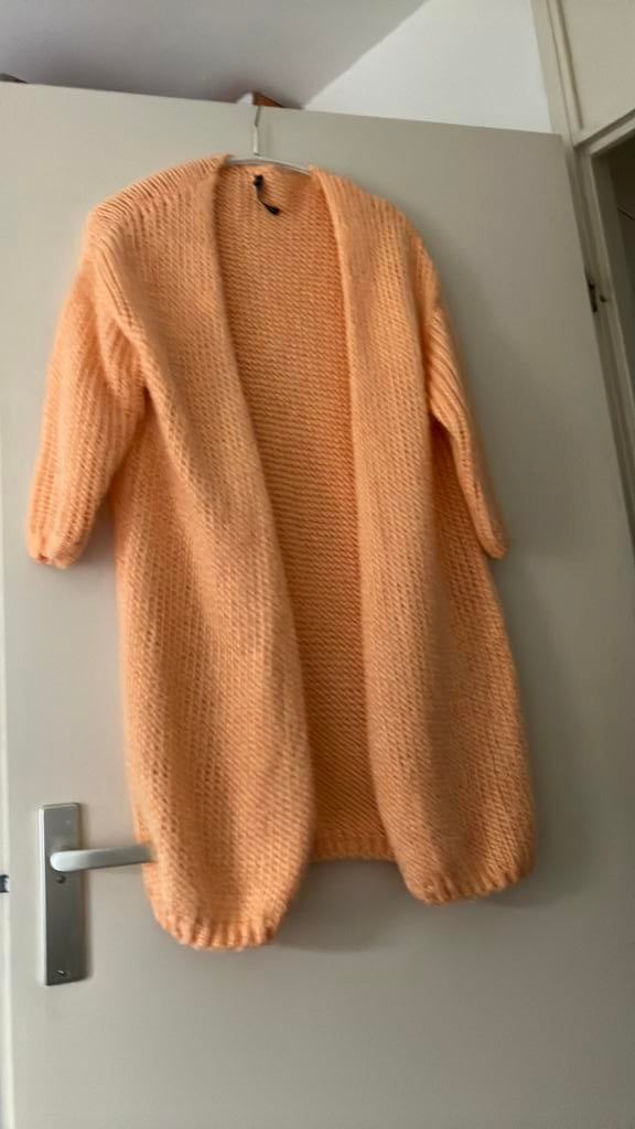 Licht oranje vest 1 maat, Ophalen of Verzenden, Zo goed als nieuw, Maat 42/44 (L), Oranje