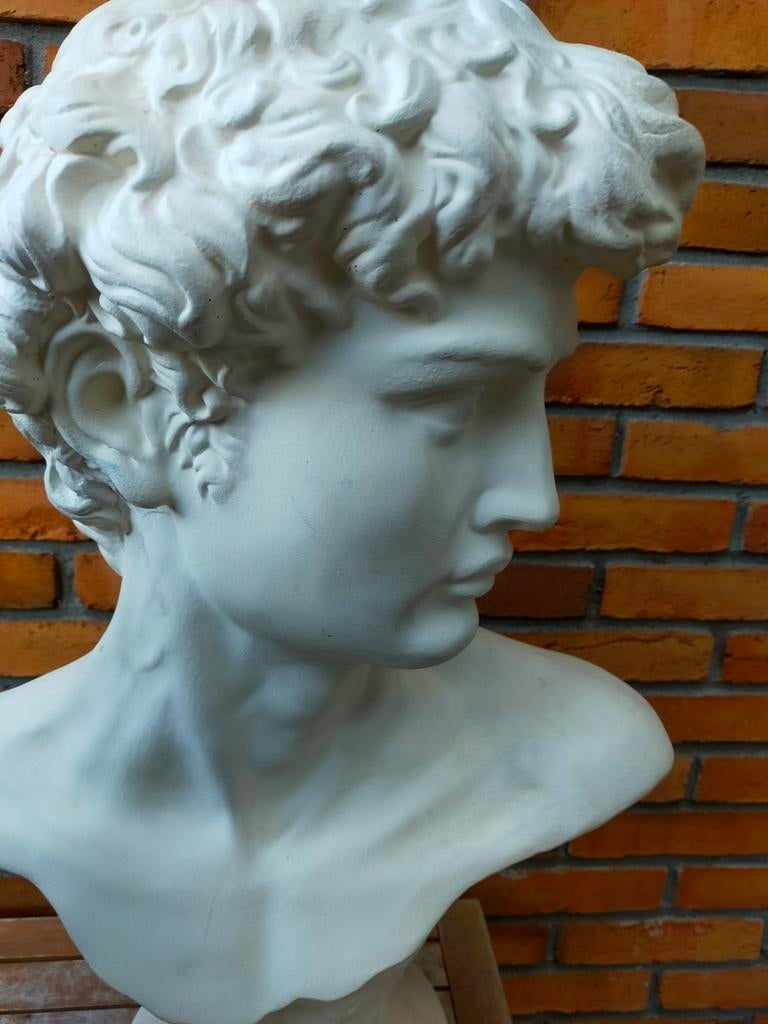 Borstbeeld David (Michelangelo) – 68 cm, Antiek en Kunst, Kunst | Beelden en Houtsnijwerken, Ophalen of Verzenden, Buste