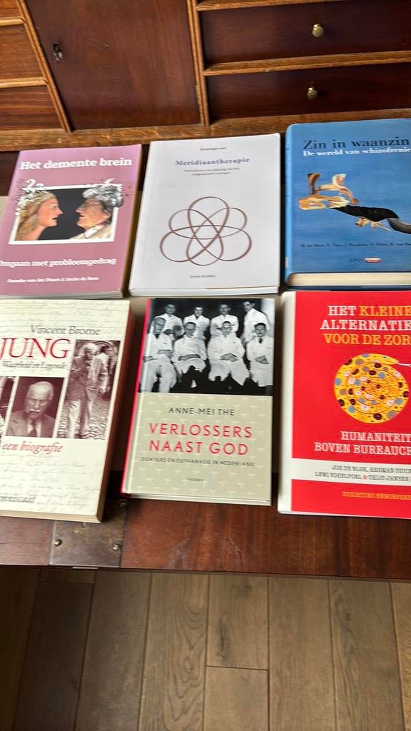 Het kleine alternatief voor de zorg- Jung- Zin in waarzin ea, Ophalen of Verzenden, Gelezen, Thijs Jansen; Jos de Blok; Lewi Vogelpoel; Herman Suichies