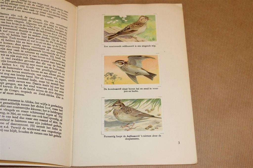Kanis & Gunnink Vogelboekje [1954] — Compleet, Ophalen of Verzenden, Gelezen