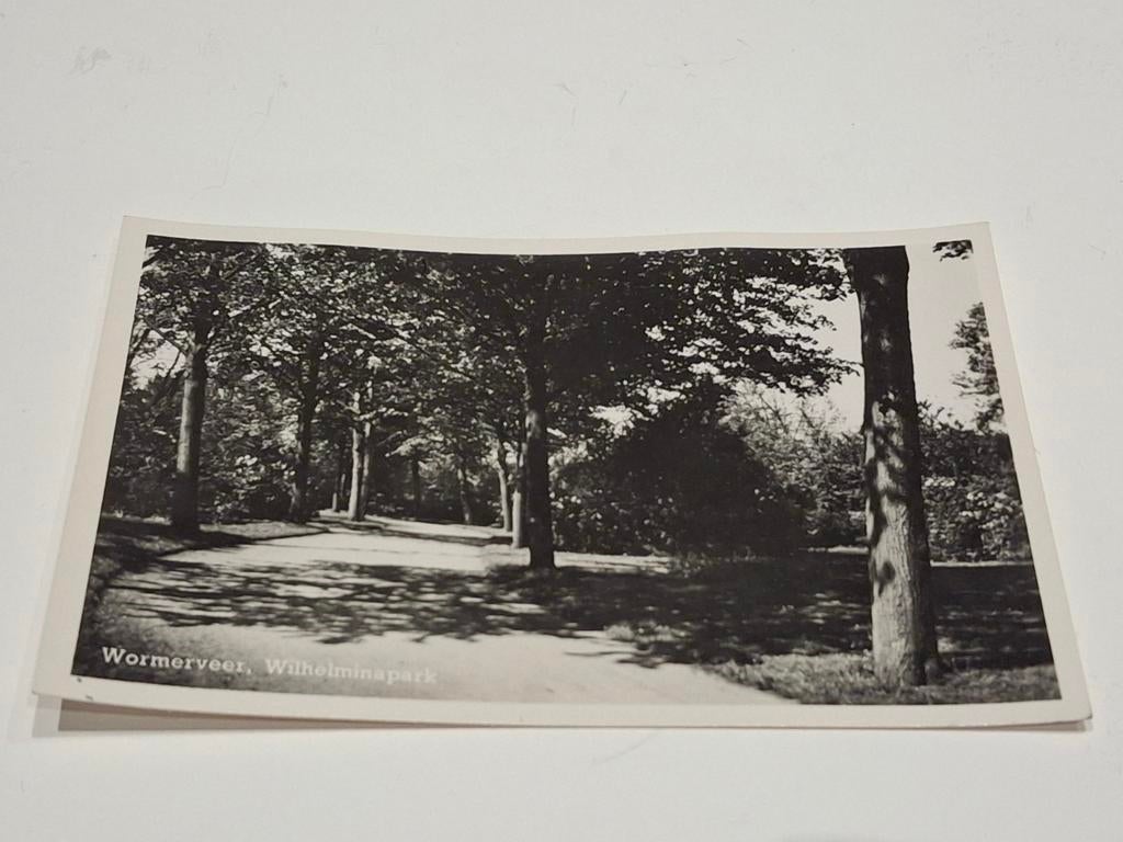 Wormerveer, Wilhelminapark ansichtkaart, Ophalen of Verzenden, Ongelopen