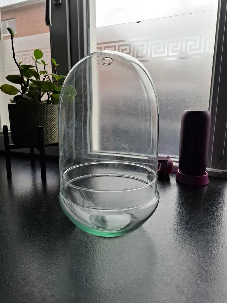 Glazen terrarium fles, Ophalen of Verzenden, Zo goed als nieuw, Glas