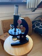 microscoop, Audio, Tv en Foto, Optische apparatuur | Microscopen, Ophalen, Zo goed als nieuw, 400x tot 1000x, Biologische microscoop