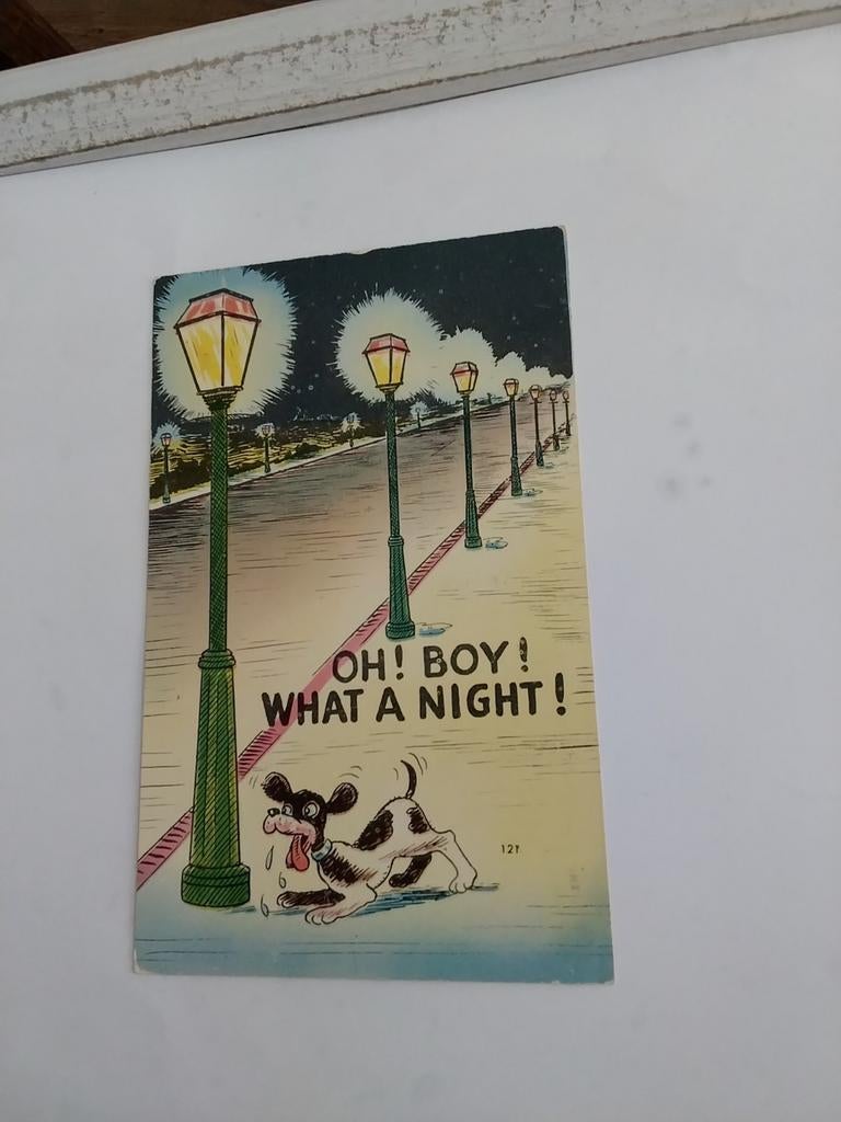 OH! BOY!  WHAT A NIGHT!  HOND BIJ LANTAARNPALEN, Ophalen of Verzenden, Voor 1920, Overige thema's