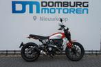 DUCATI SCRAMBLER ICON (bj 2023), DUCATI, 2 cilinders, Motorrijbewijs A, Bedrijf