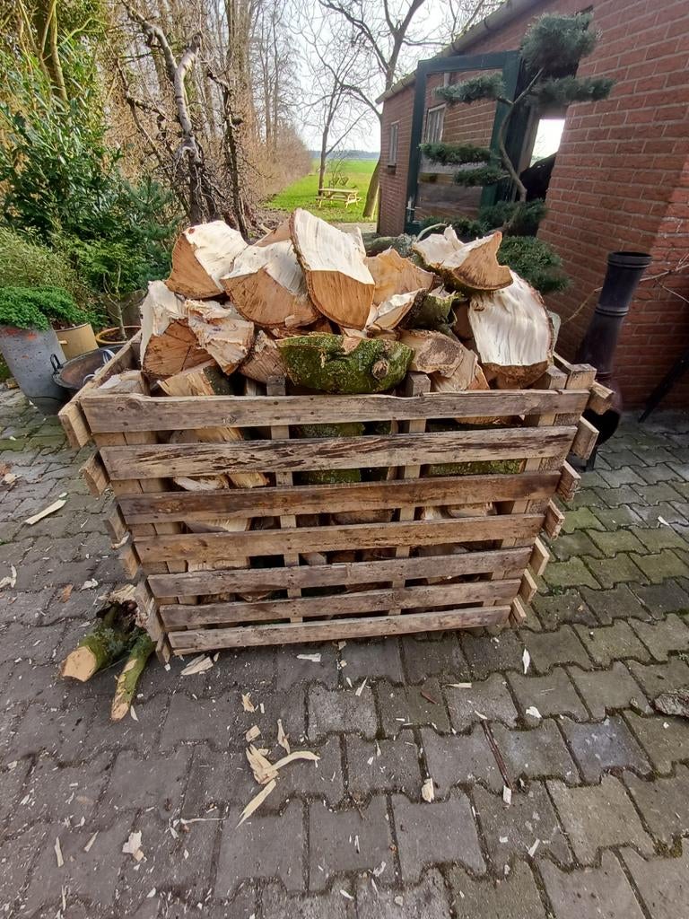 Brandhout vers gekloofd, Tuin en Terras, Haardhout, Minder dan 3 m³, Ophalen