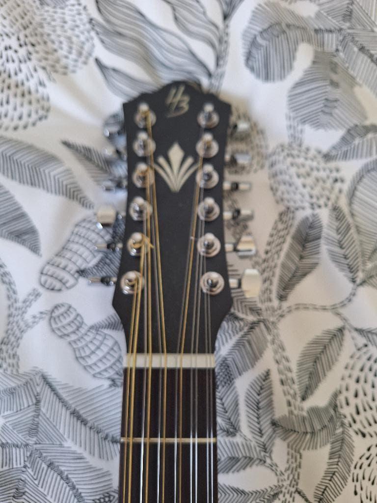Harley Benton Custom 12 snarige gitaar en hoes, Muziek en Instrumenten, Ophalen, Nieuw, Solid body, Overige merken