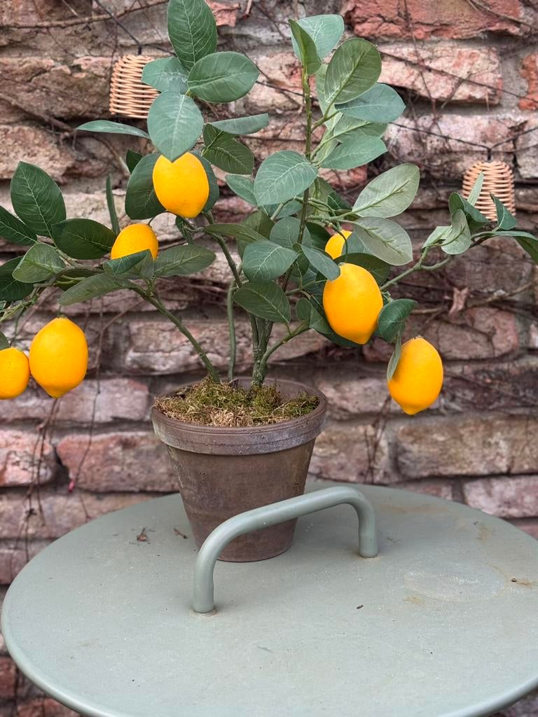 Kunst citroen plant in pot, Ophalen of Verzenden, Zo goed als nieuw