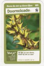 Super dieren no.31 Doorncicade [2691]  [VeOvSu], Albert Heijn, Ophalen of Verzenden