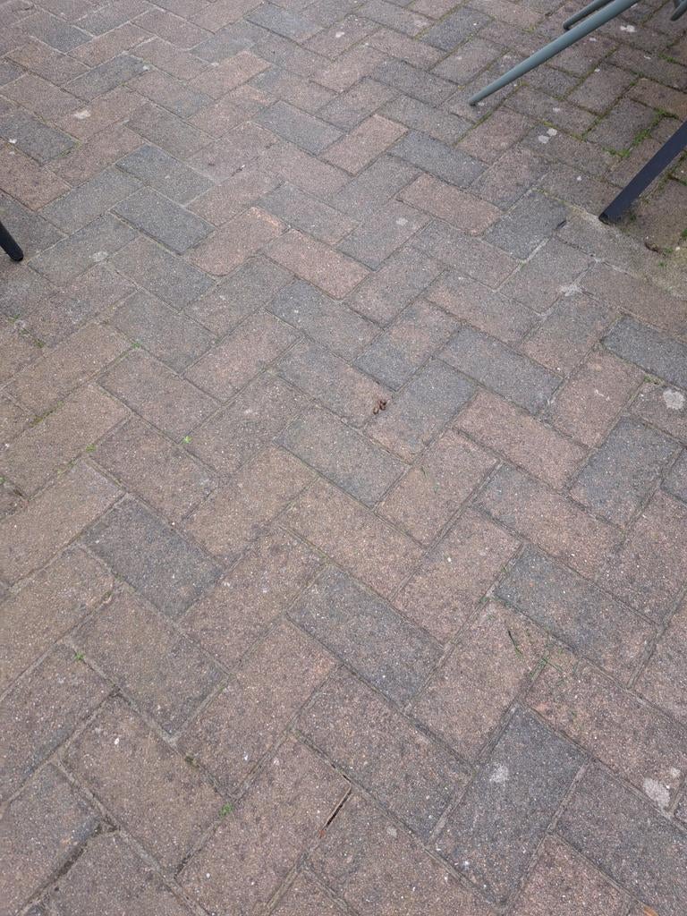 Gebruikte klinkers, ongeveer 15m2, Ophalen of Verzenden, Gebruikt, Beton, Klinkers