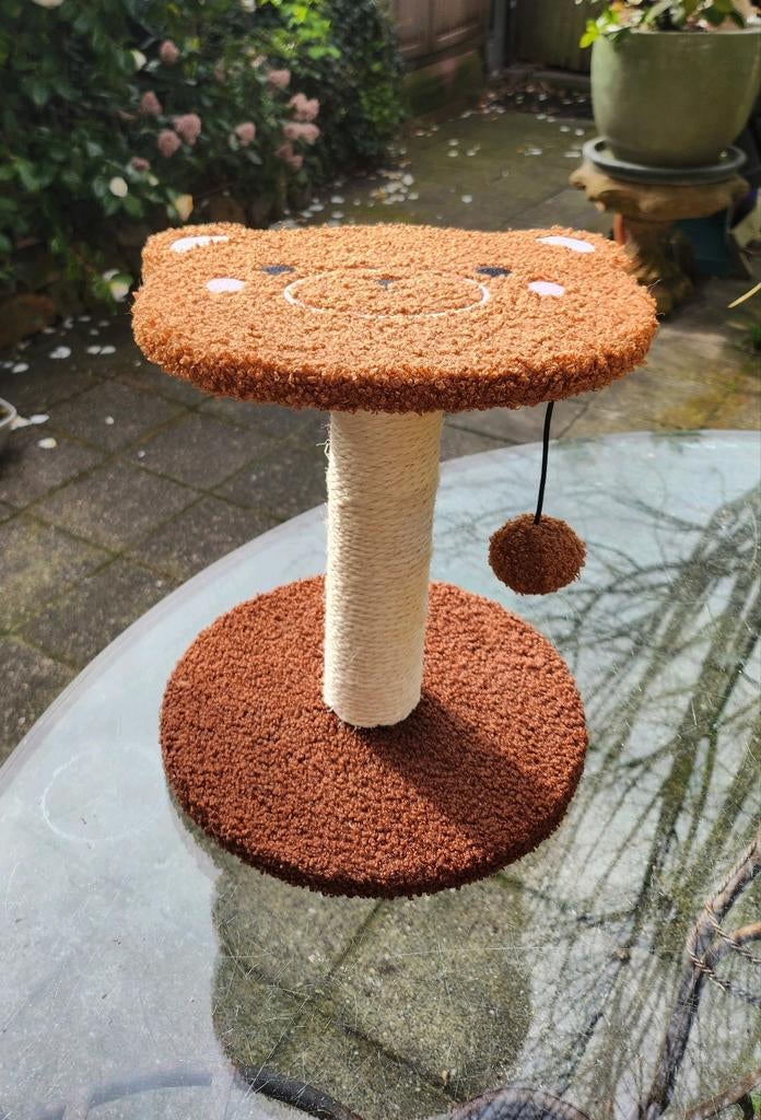 Kitten Krabpaal, Ophalen of Verzenden, Nieuw, Krabpaal