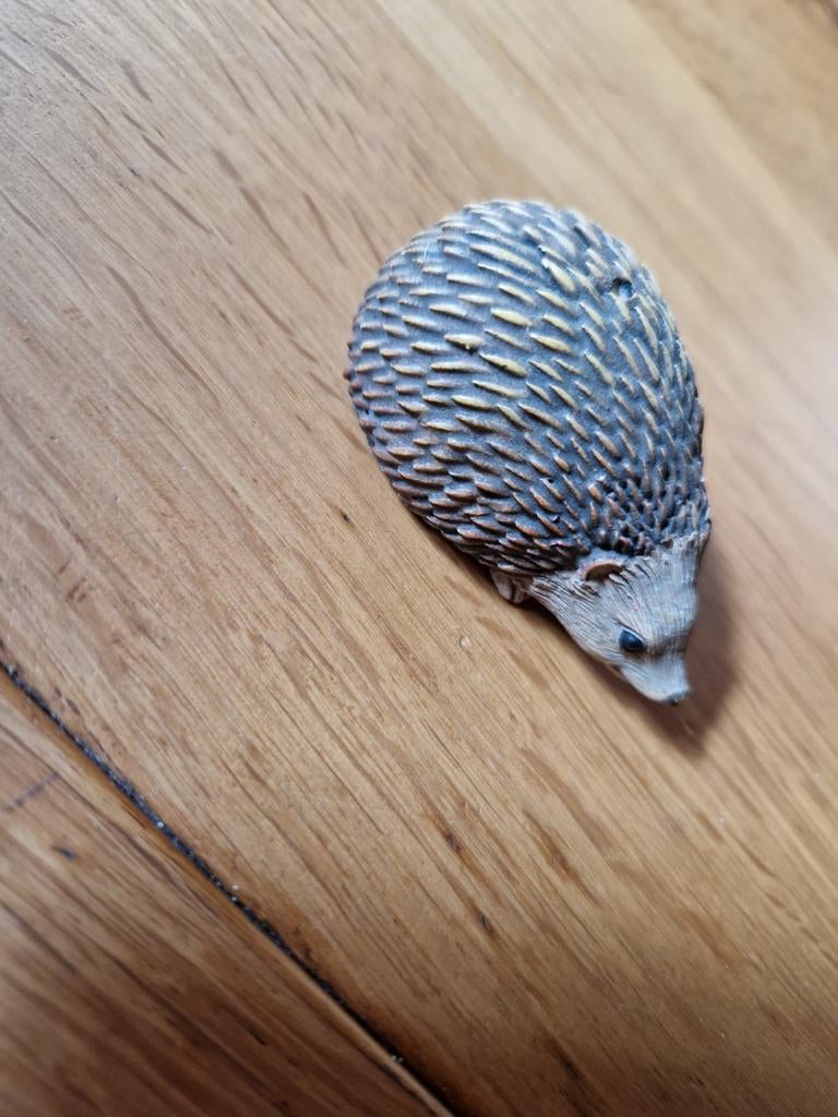 EGEL, Ophalen of Verzenden, Dier