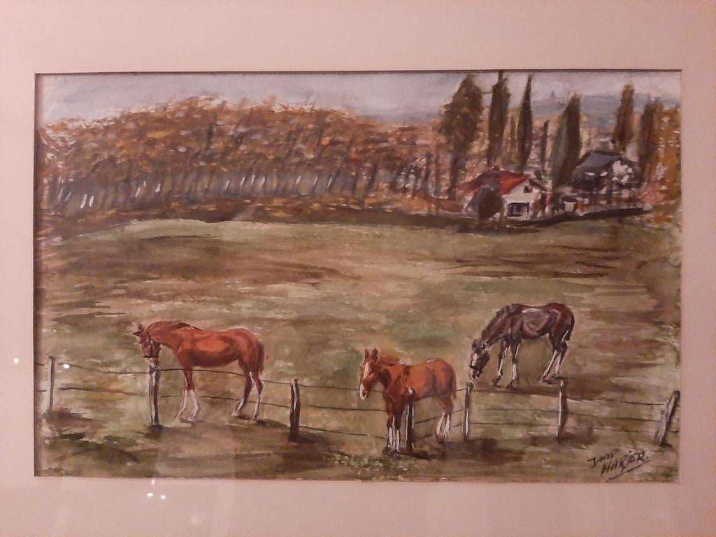 Schilderij Jaap Harjer: Drie paarden in de wei, Ophalen