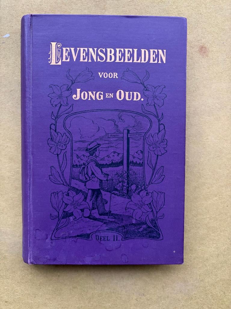 Levensbeelden voor jong en oud (1914), Antiek en Kunst, Ophalen of Verzenden, Anoniem