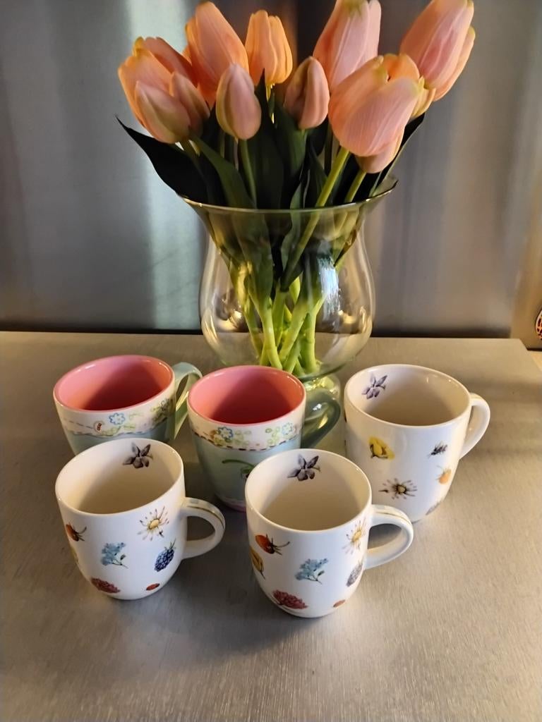 Jet ter steege kopjes, Ophalen of Verzenden, Zo goed als nieuw, Overige stijlen, Kop(pen) en/of Schotel(s)