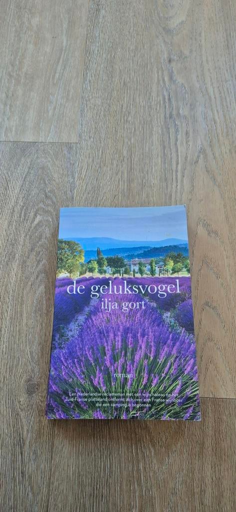 Boek, Ilja Gort, de geluksvogel, Ophalen of Verzenden, Zo goed als nieuw, Ilja Gort