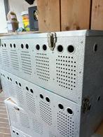 Weduwnaars duivenmand, Geslacht onbekend, Postduif