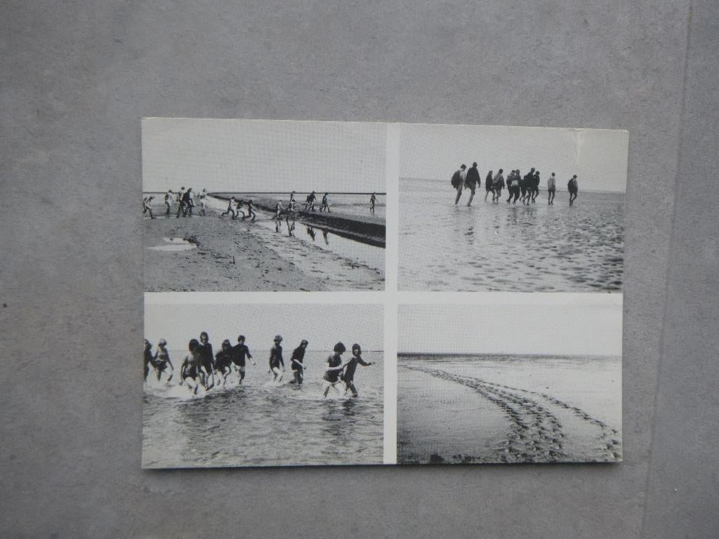 Pieterburen, st. Wadloopsport Pieterburen 1980, Verzamelen, Ansichtkaarten | Nederland, Verzenden, 1980 tot heden, Gelopen, Noord-Brabant