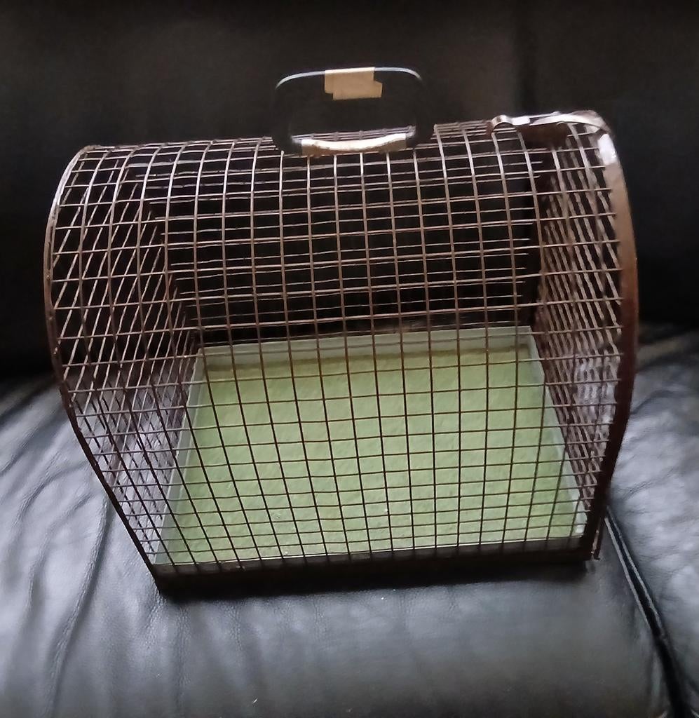 Metalen transport kooi kleine dieren kitten hondjes ratten, Ophalen of Verzenden, Gebruikt