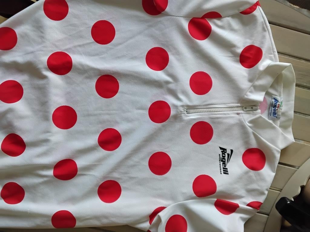Fietsshirt L, Ophalen of Verzenden, Zo goed als nieuw
