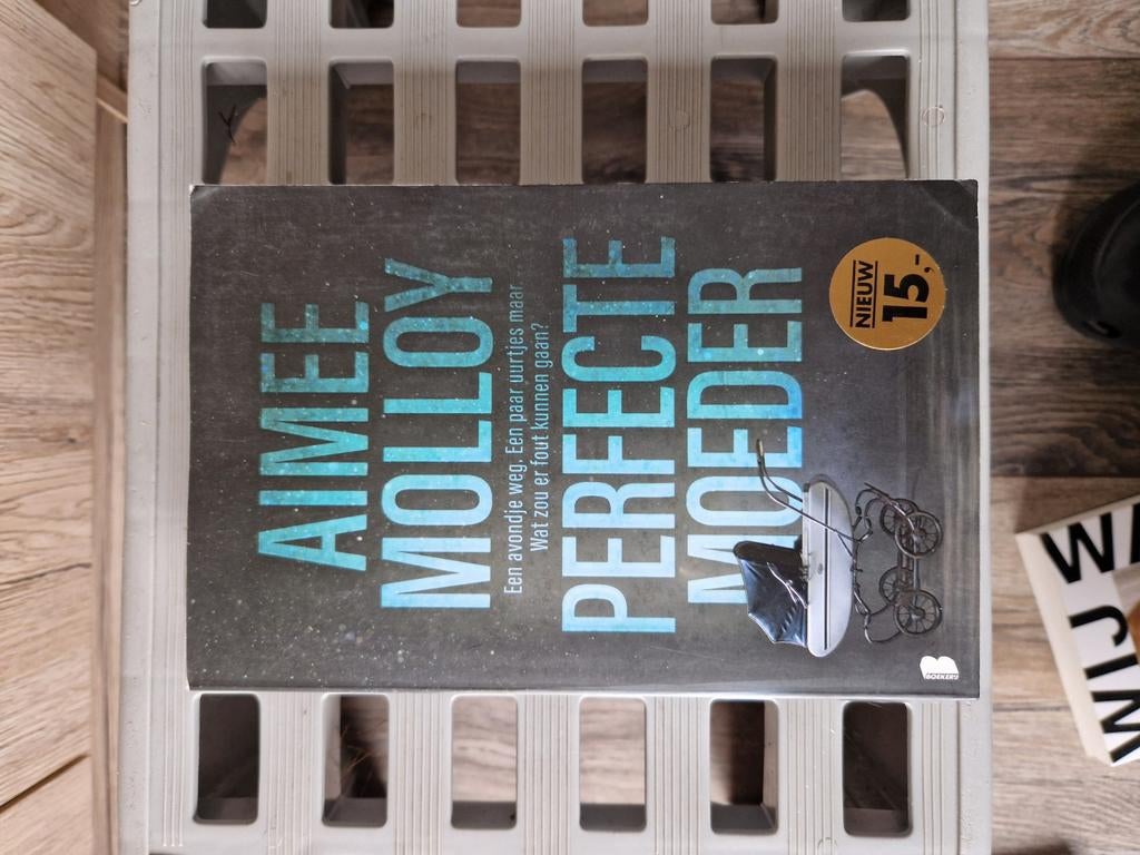 Perfecte Moeder - Aimee Molloy (Thriller), Ophalen of Verzenden, Zo goed als nieuw, Aimee Molloy, Amerika