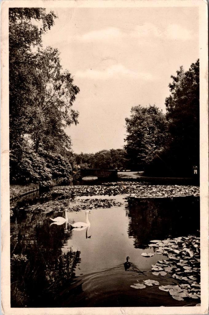 Hoenderloo - De Hoge Veluwe (1953), Verzenden, 1940 tot 1960, Gelopen, Gelderland