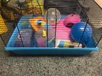 Hamsterkooi, Dieren en Toebehoren, Ophalen, Minder dan 75 cm, Kooi, Minder dan 60 cm