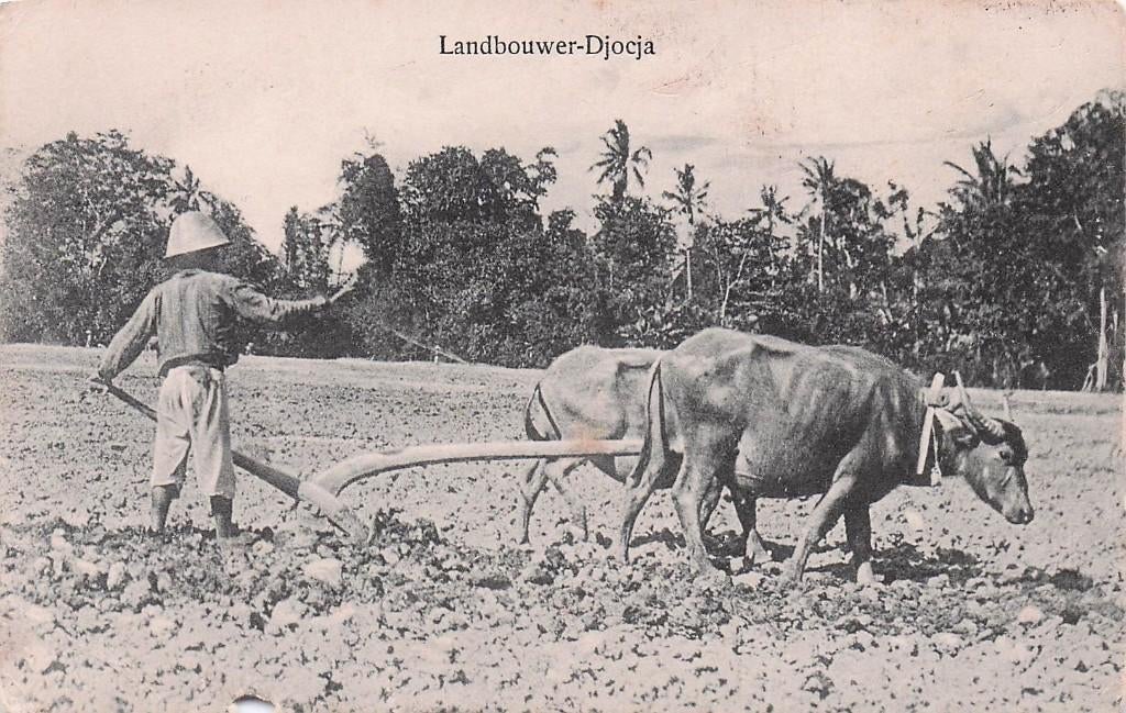 buitenland Nederlands Indië - Landbouwer (Djocja), Ophalen of Verzenden, Voor 1920, Ongelopen, Buiten Europa