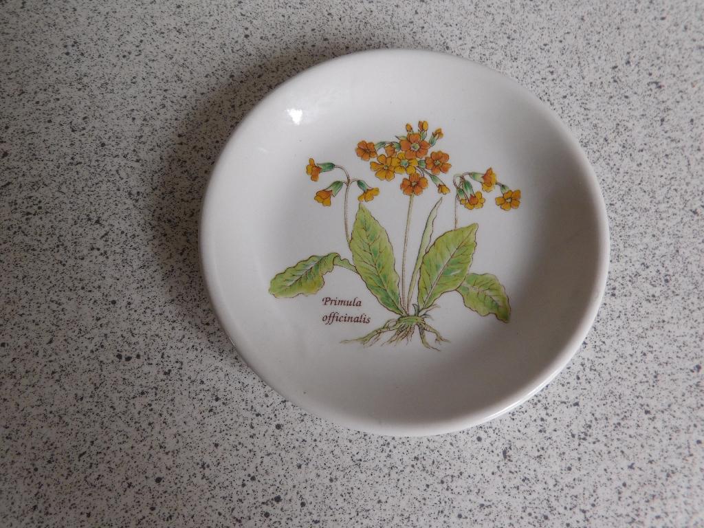 Bord 11 cm. Primula Made in England, Ophalen of Verzenden, Zo goed als nieuw, Bord(en), Overige stijlen