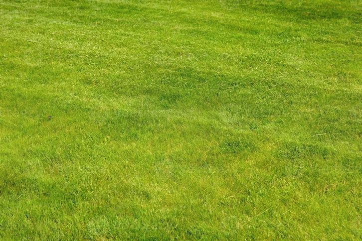 Perfect gras, Boeken, Wonen en Tuinieren, Nieuw, Interieur en Design, Ophalen of Verzenden